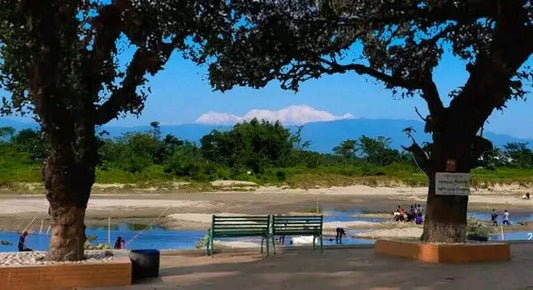 মহানন্দা নদীর পাড়