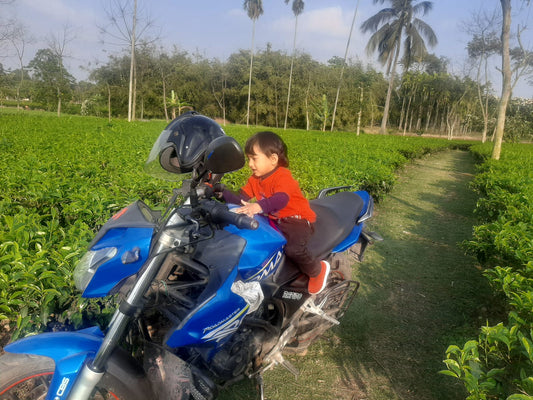 তেঁতুলিয়ার শীতের সকাল