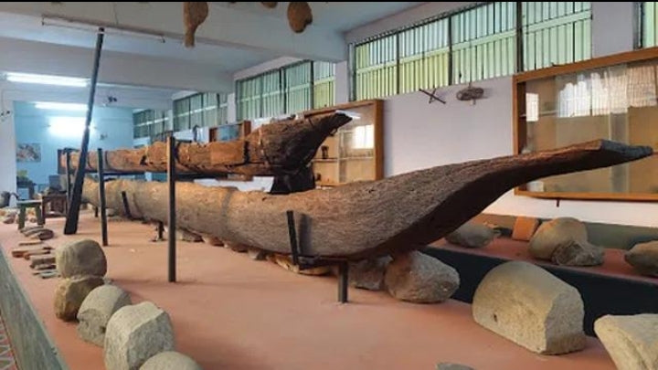 পঞ্চগড় রকস মিউজিয়াম