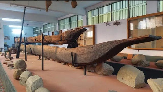 পঞ্চগড় রকস মিউজিয়াম