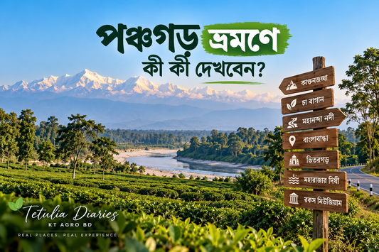 🏔️ পঞ্চগড় ভ্রমণে কী কী দেখবেন।