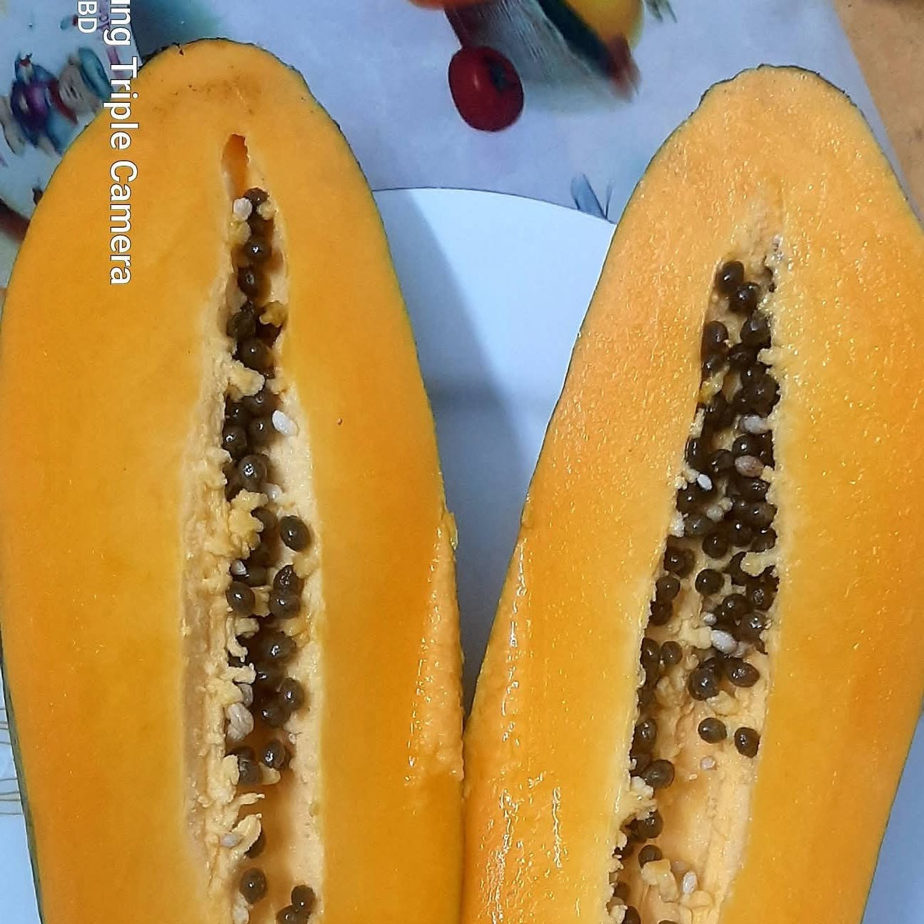 Papaya, Panchagarh, Agrofarm, tetulia , Organic fruits
