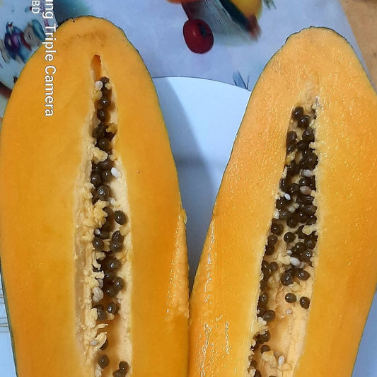 Papaya, Panchagarh, Agrofarm, tetulia , Organic fruits